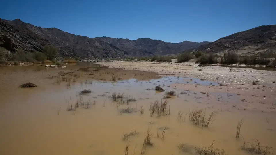 2025NamibiaSA2997.jpg