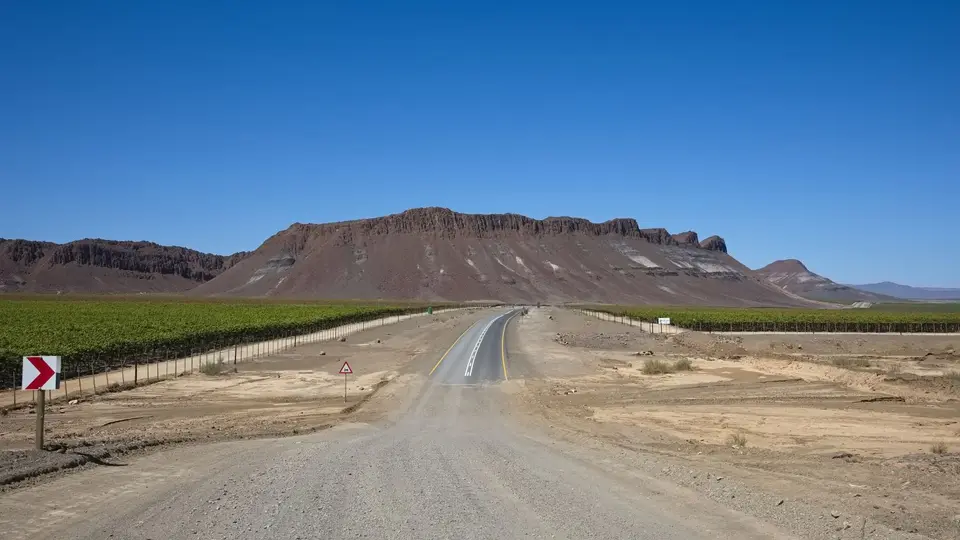 2025NamibiaSA3027.jpg