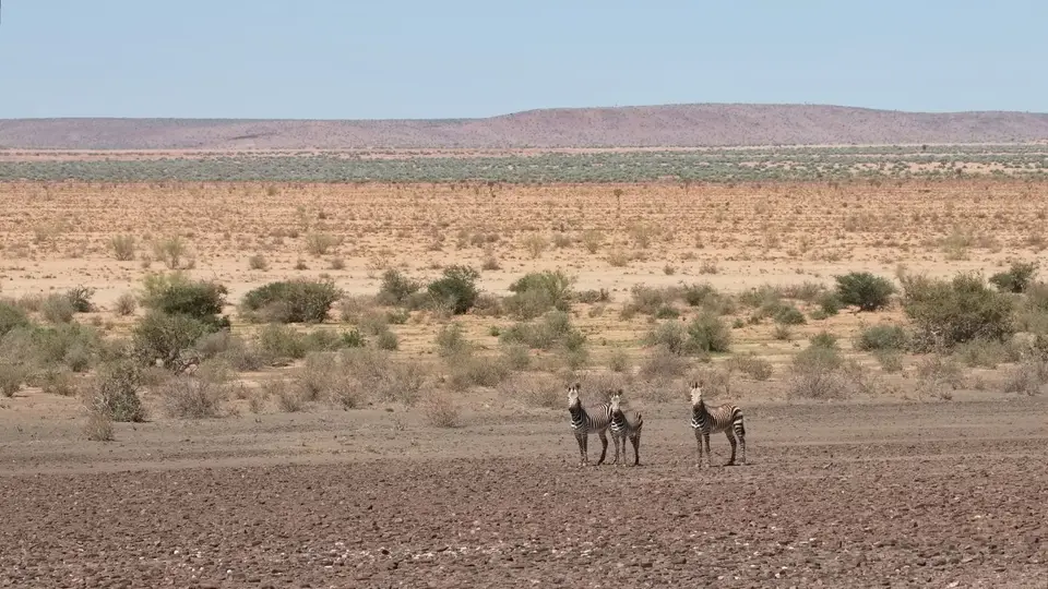 2025NamibiaSA3206.jpg