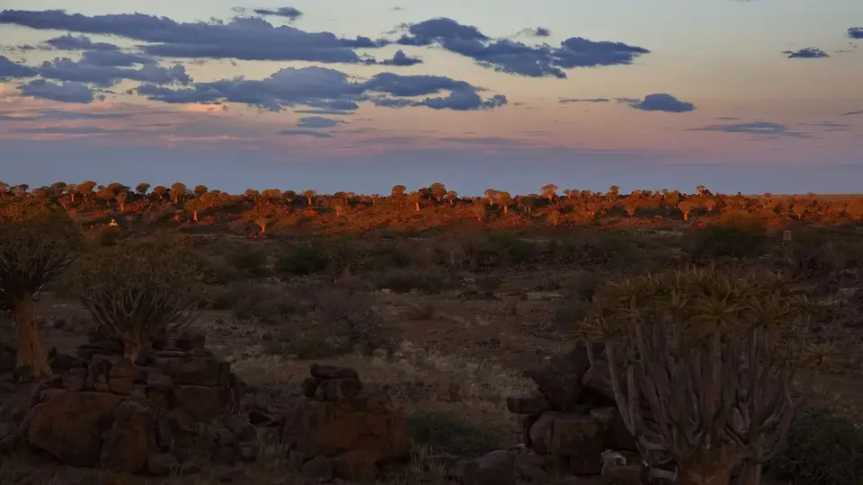 2025NamibiaSA3338.jpg