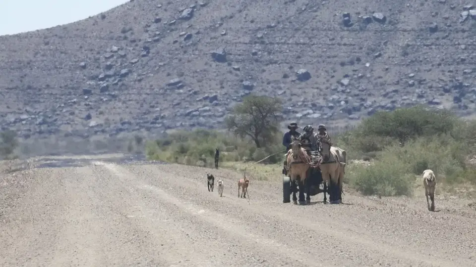 2025NamibiaSA3656.jpg