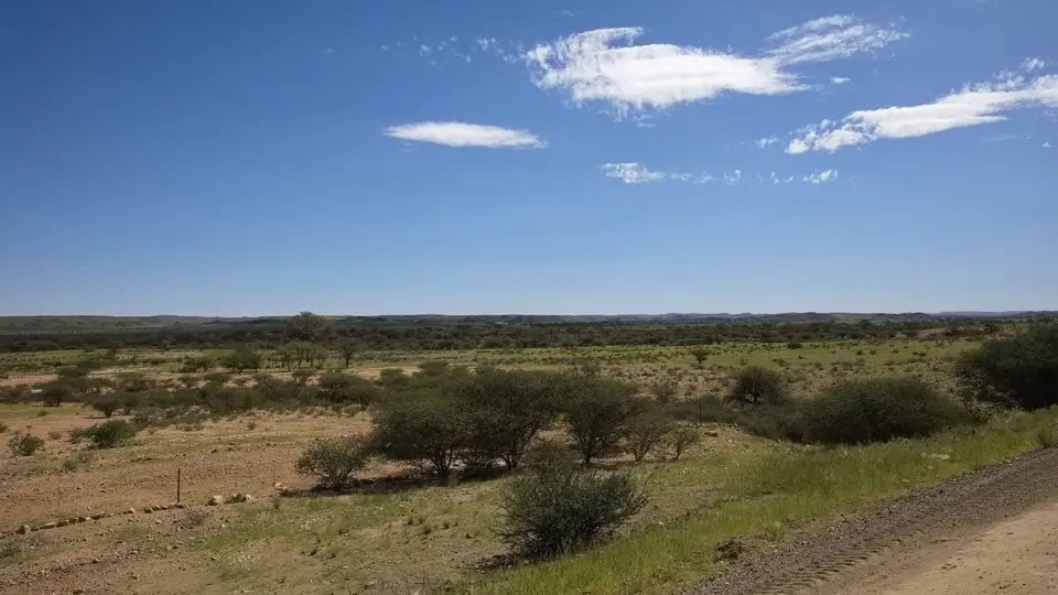 2025NamibiaSA3658.jpg