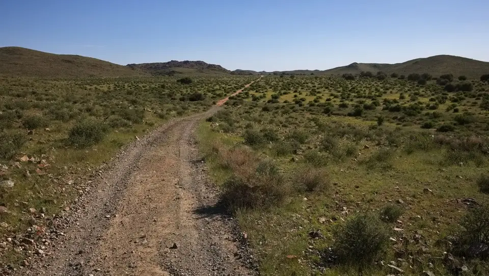 2025NamibiaSA3682.jpg