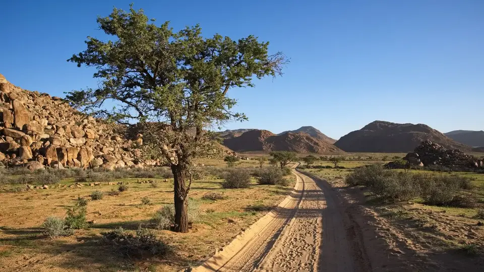 2025NamibiaSA3816.jpg