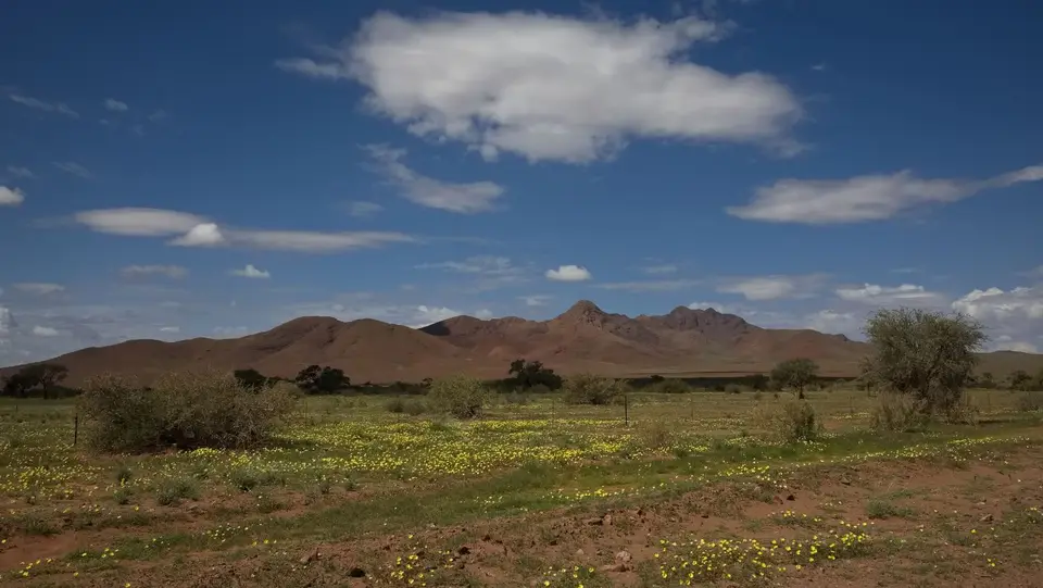 2025NamibiaSA3913.jpg