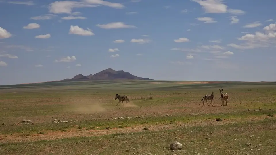 2025NamibiaSA3967.jpg