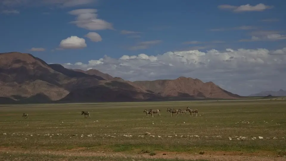 2025NamibiaSA3972.jpg