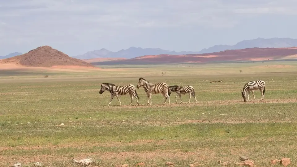 2025NamibiaSA4000.jpg