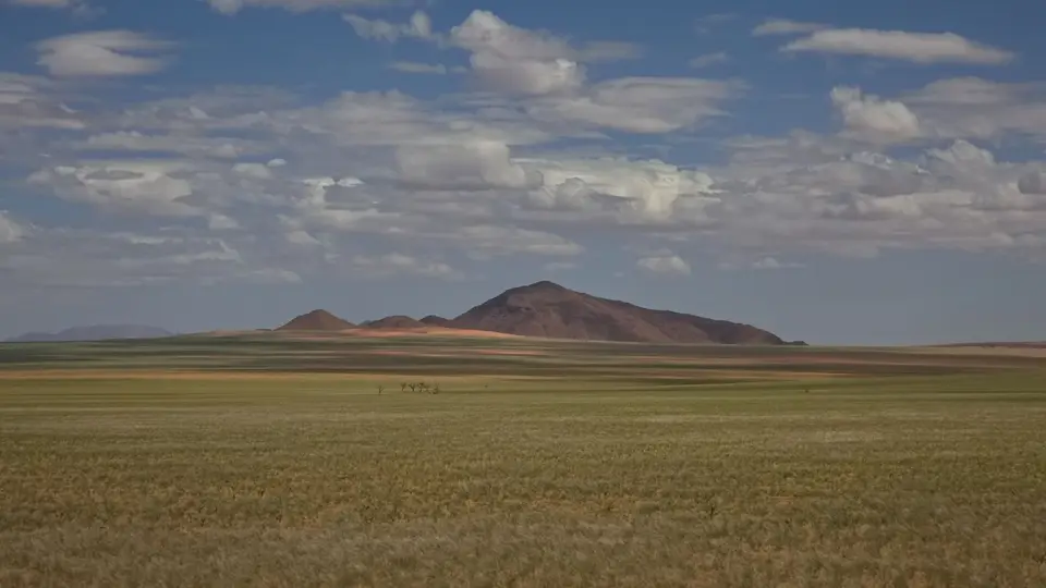 2025NamibiaSA4016.jpg