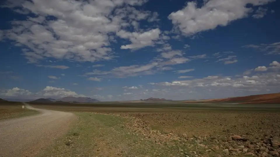 2025NamibiaSA4025.jpg