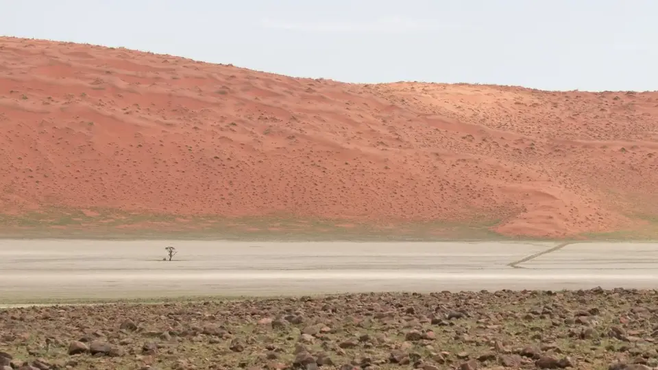 2025NamibiaSA4036.jpg