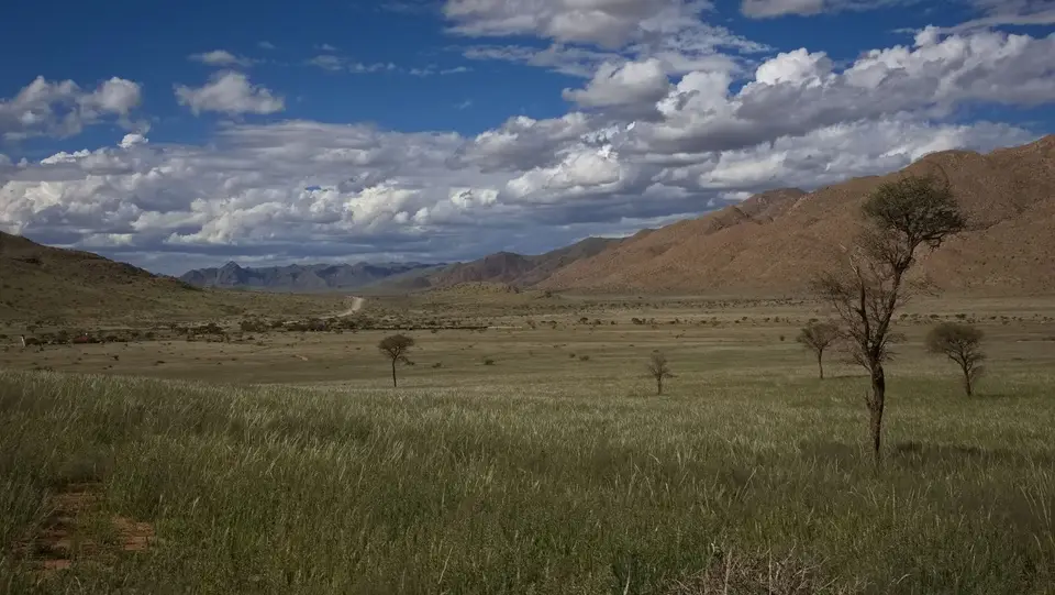 2025NamibiaSA4219.jpg