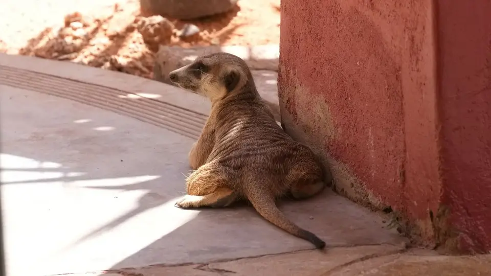 2025NamibiaSA4321.jpg