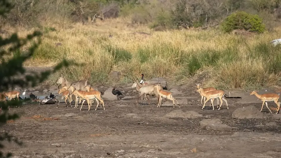 2025SAKrüger1715.jpg