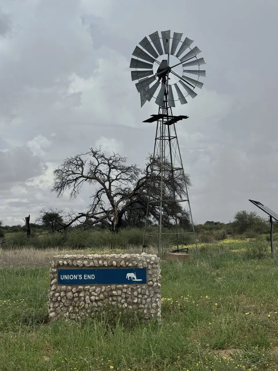 2026SACapetoKTP4134.JPG
