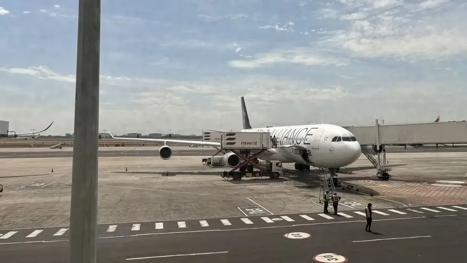 230.JPG