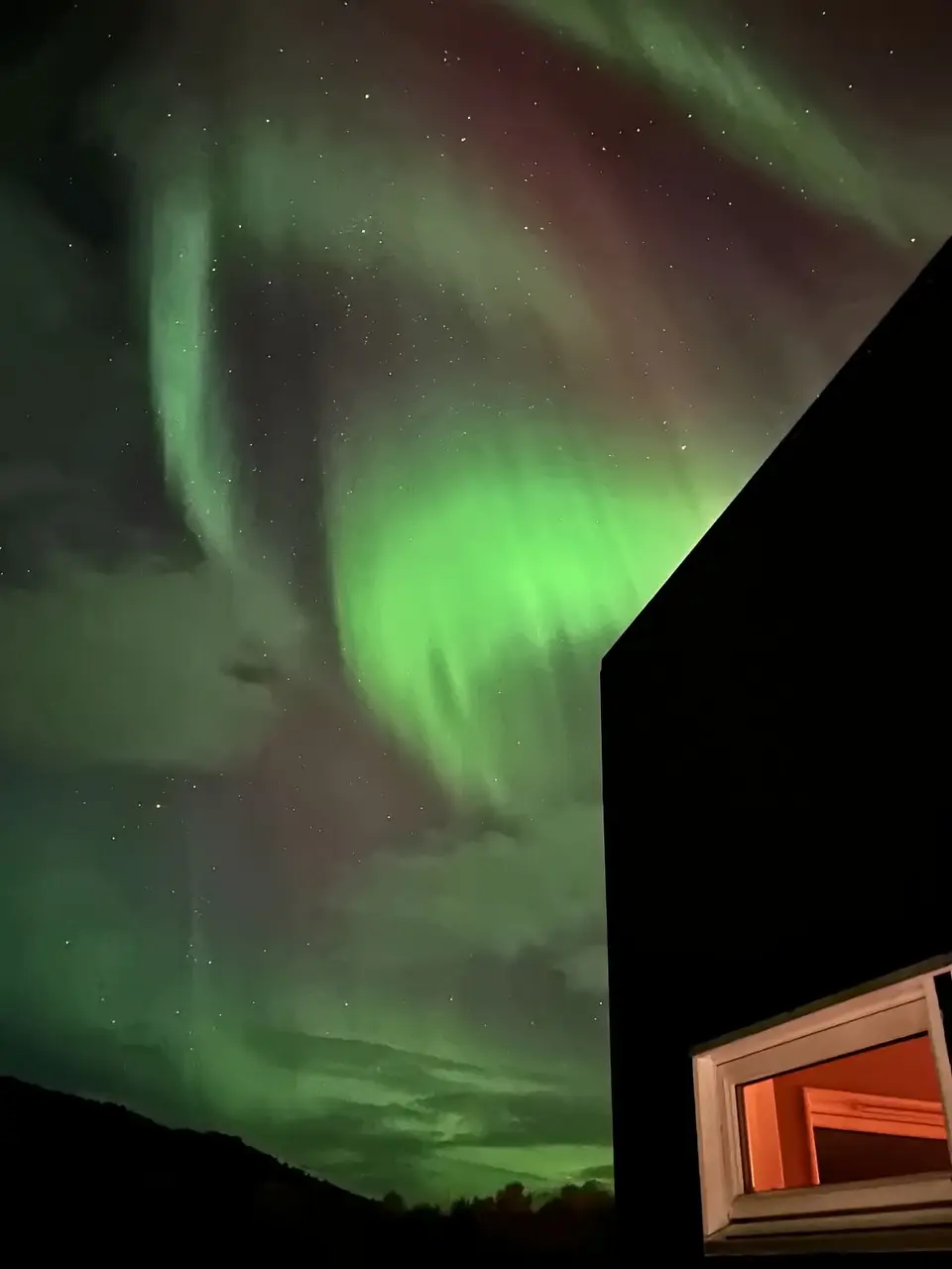 3641.jpg