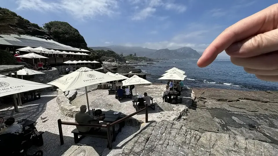 446.JPG