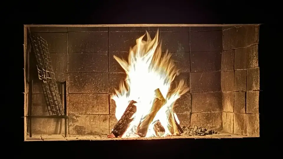465.JPG