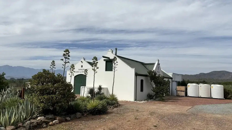 475.JPG