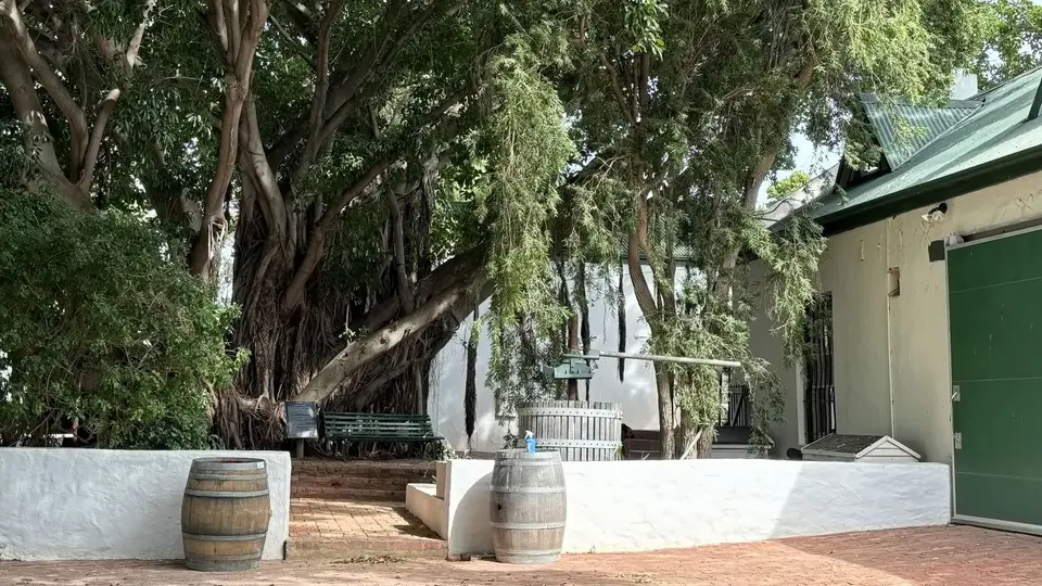 477.JPG
