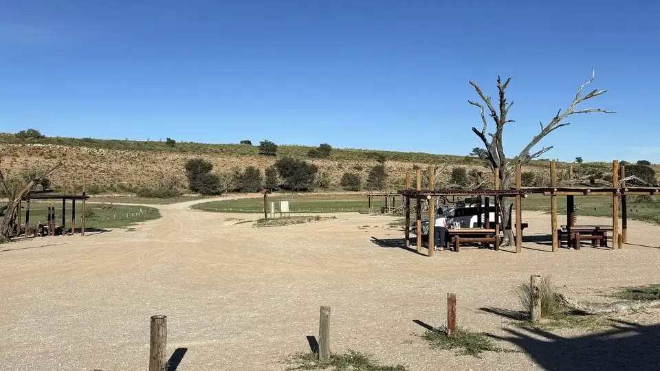 878.JPG