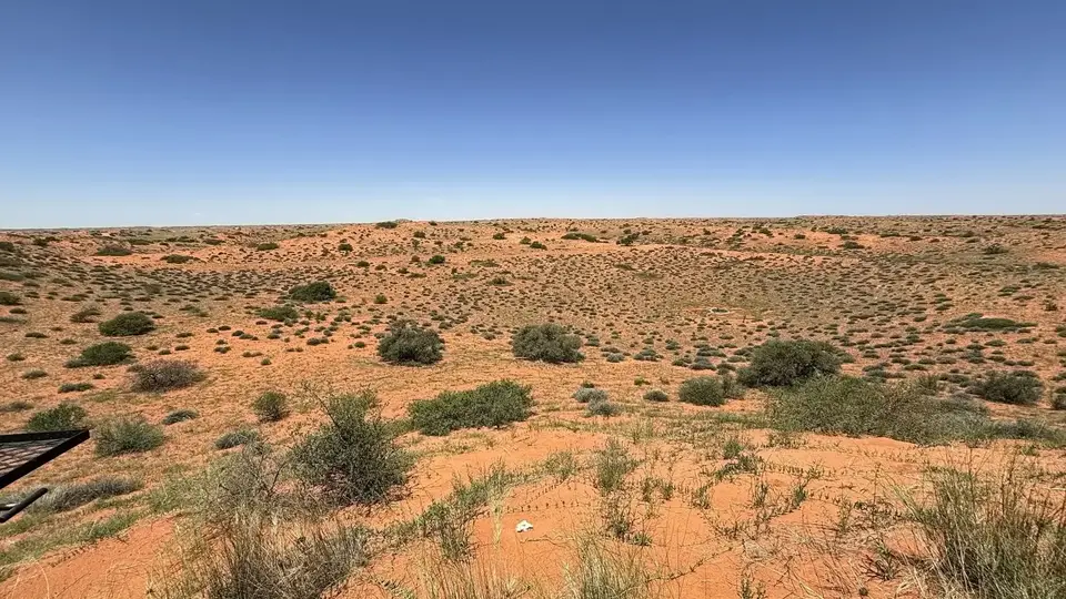 963.JPG