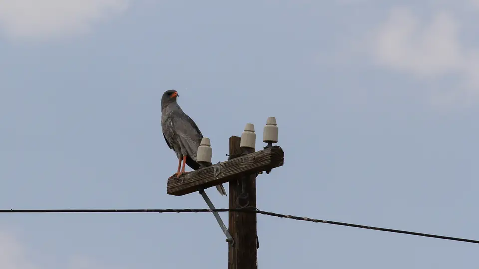 IMG_10291.jpg