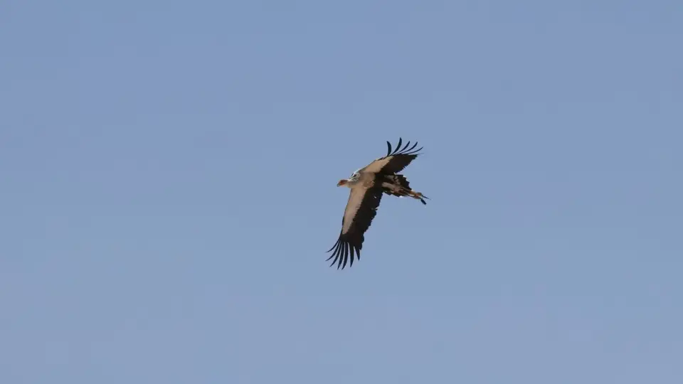 IMG_3032-2.jpg