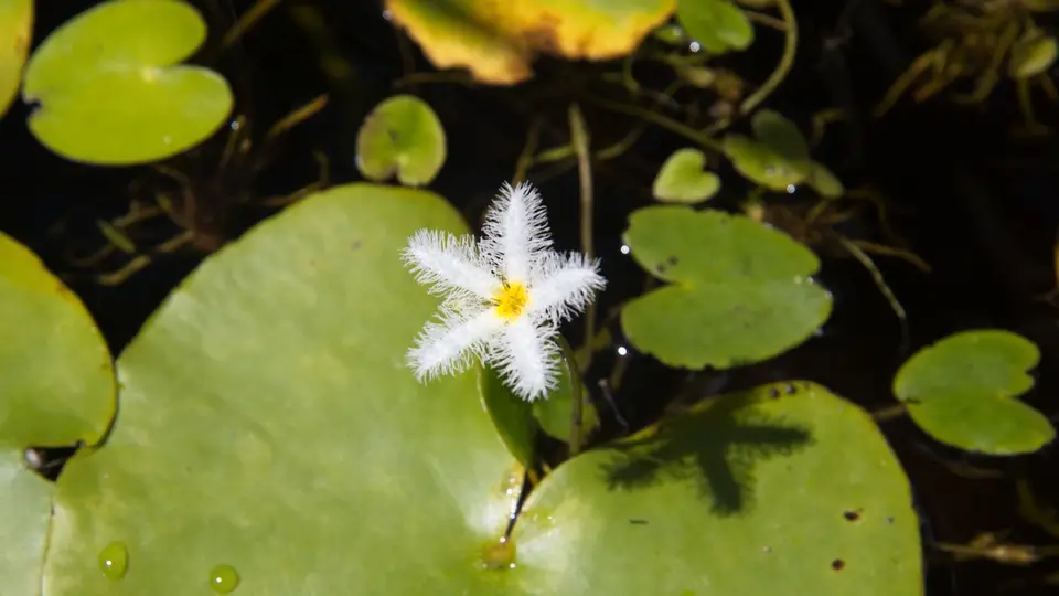 IMG_473.jpg