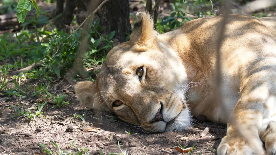 IMG_6099.jpg