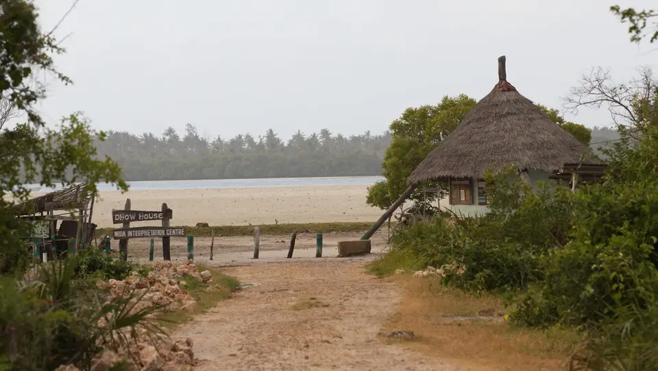 IMG_8950.jpg
