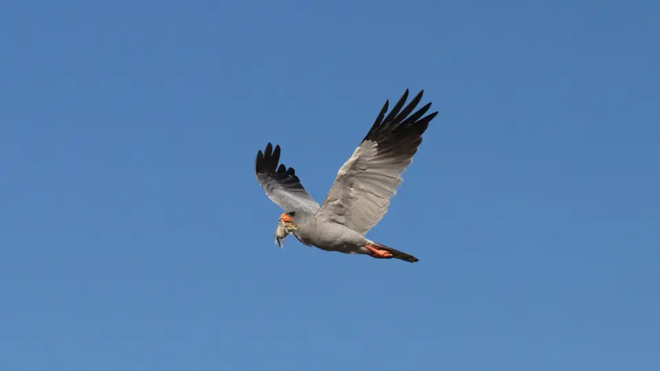 IMG_9991.jpg