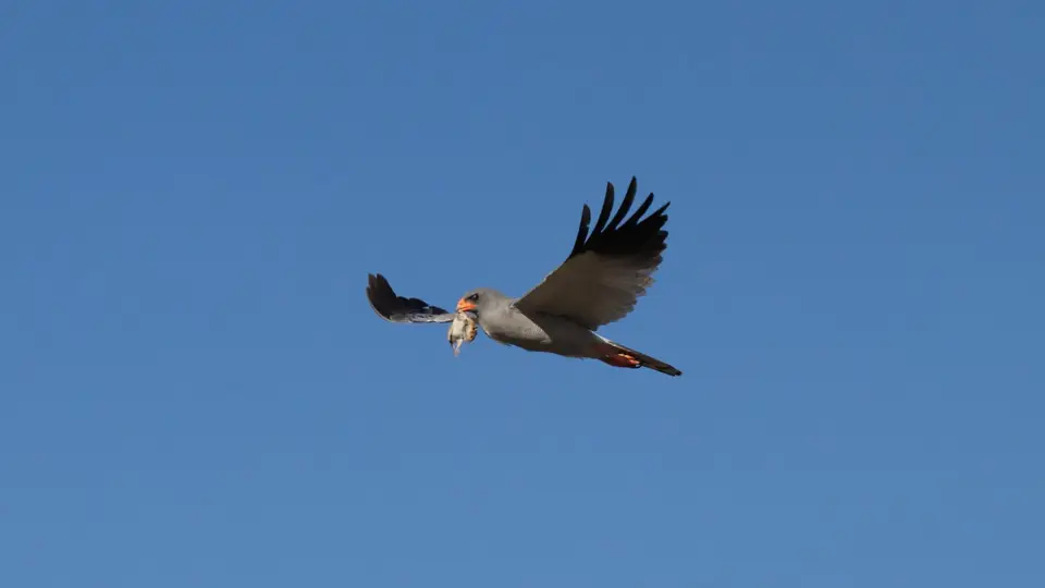 IMG_9992.jpg