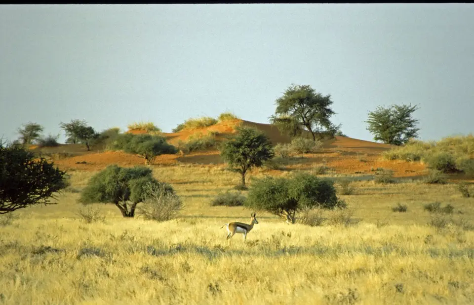 Namibia039-2.jpg