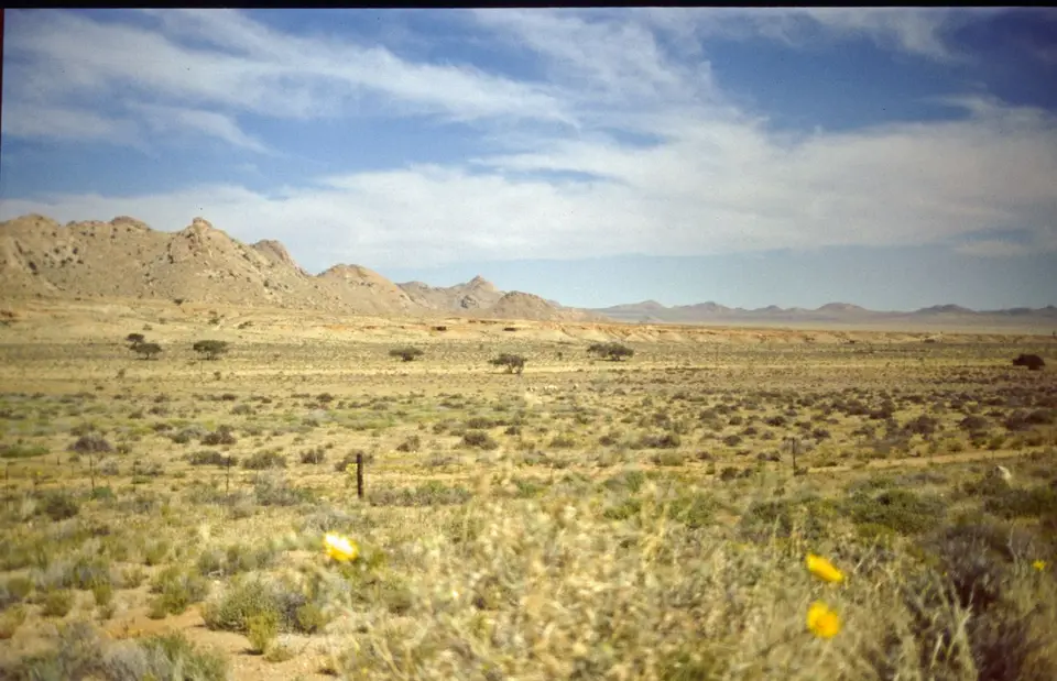 Namibia156.jpg