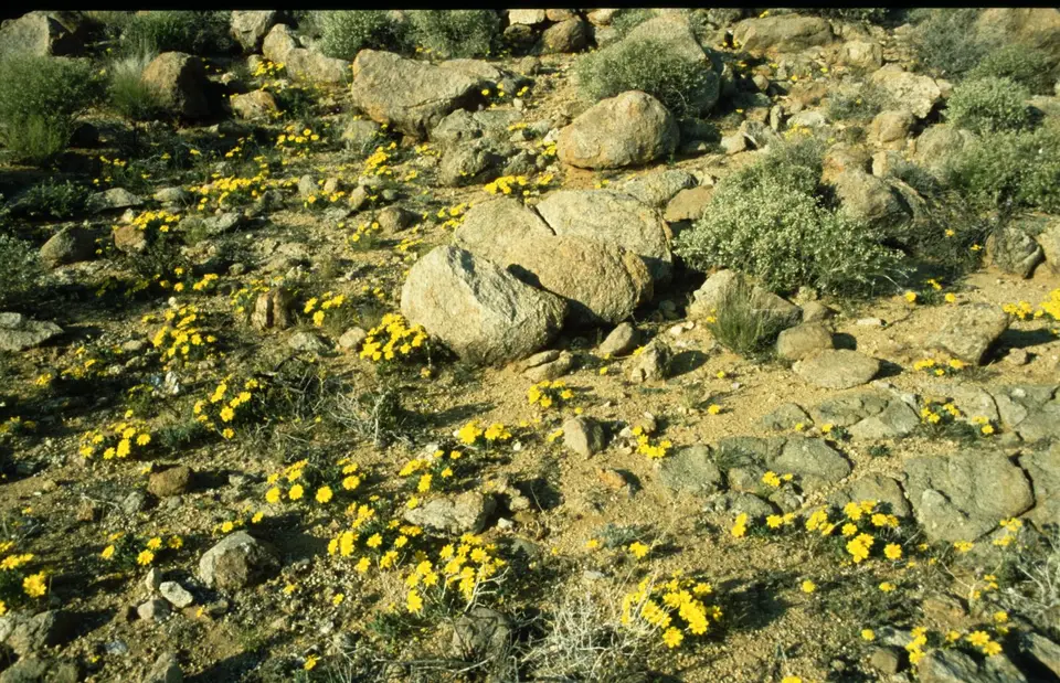 Namibia223.jpg