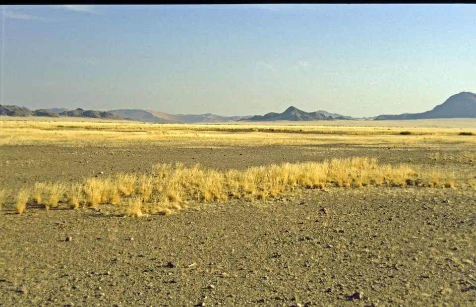 Namibia242.jpg