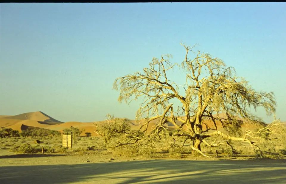 Namibia283.jpg
