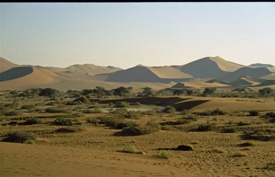 Namibia289.jpg