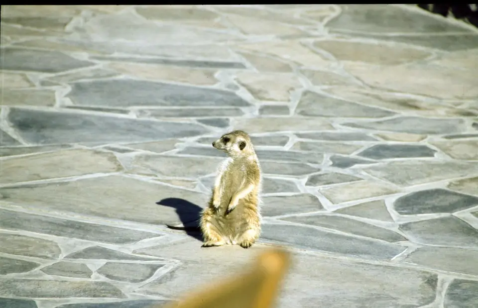 Namibia327.jpg