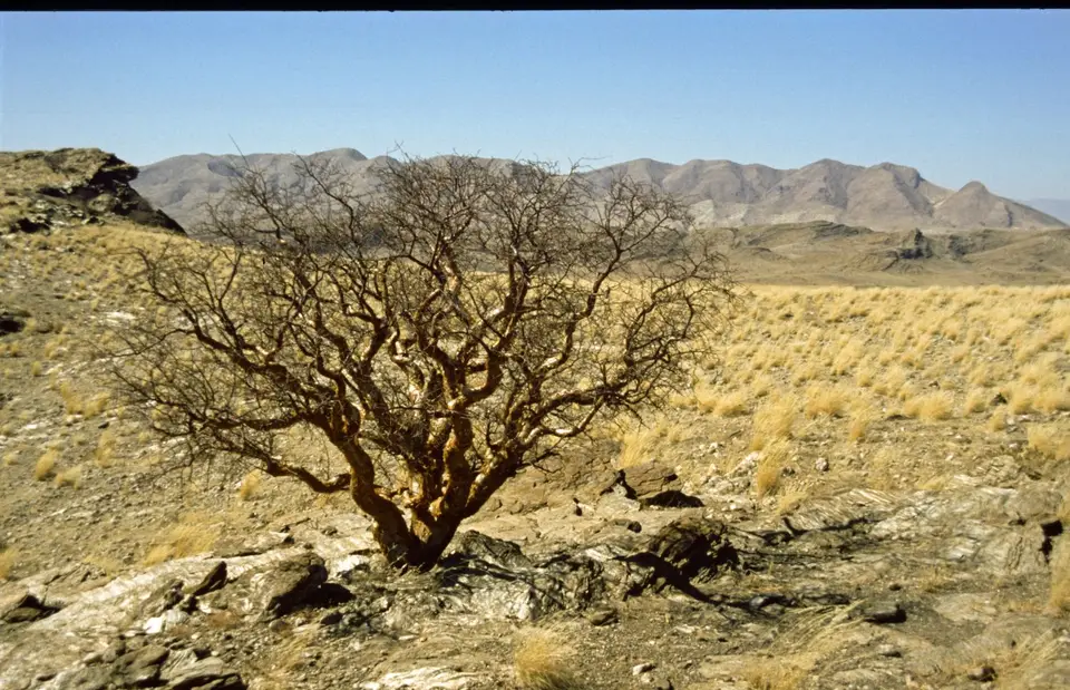 Namibia333.jpg