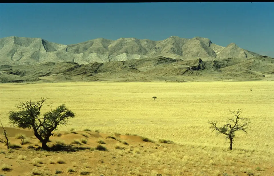 Namibia336.jpg