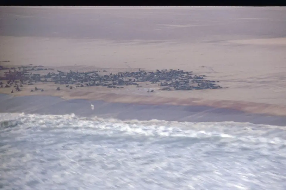 Namibia5026.jpg