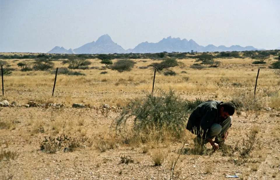 Namibia5053.jpg