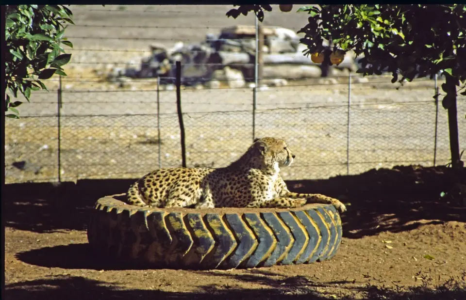Namibia6054.jpg