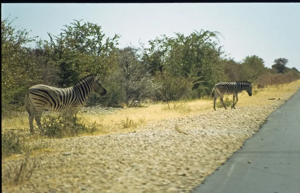 Namibia6086.jpg