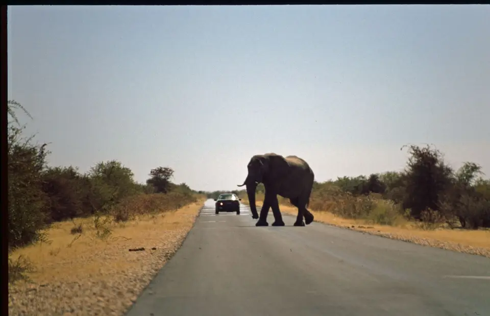 Namibia6087.jpg