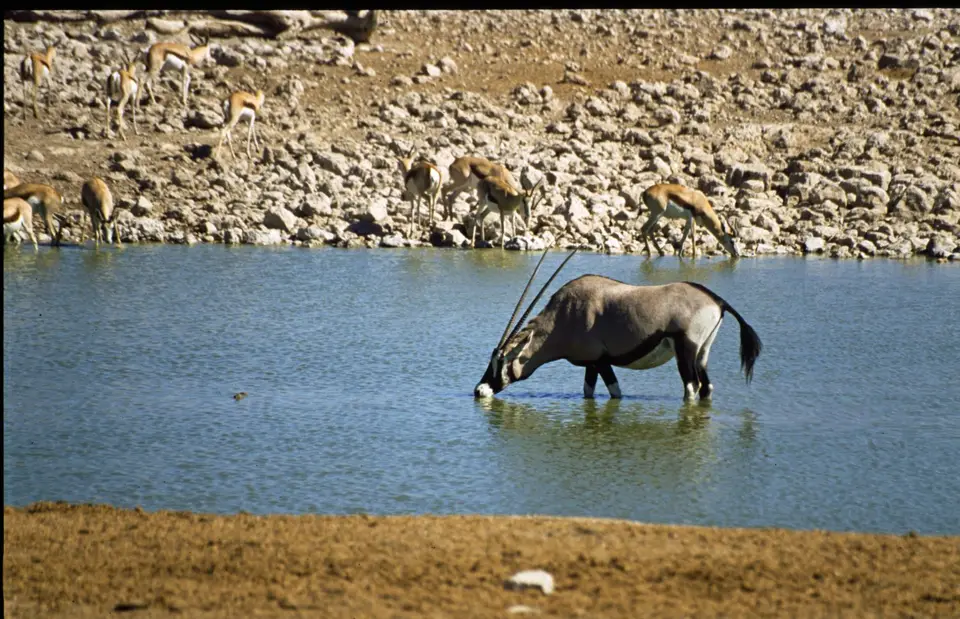 Namibia6090.jpg