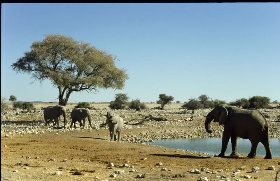 Namibia6095.jpg